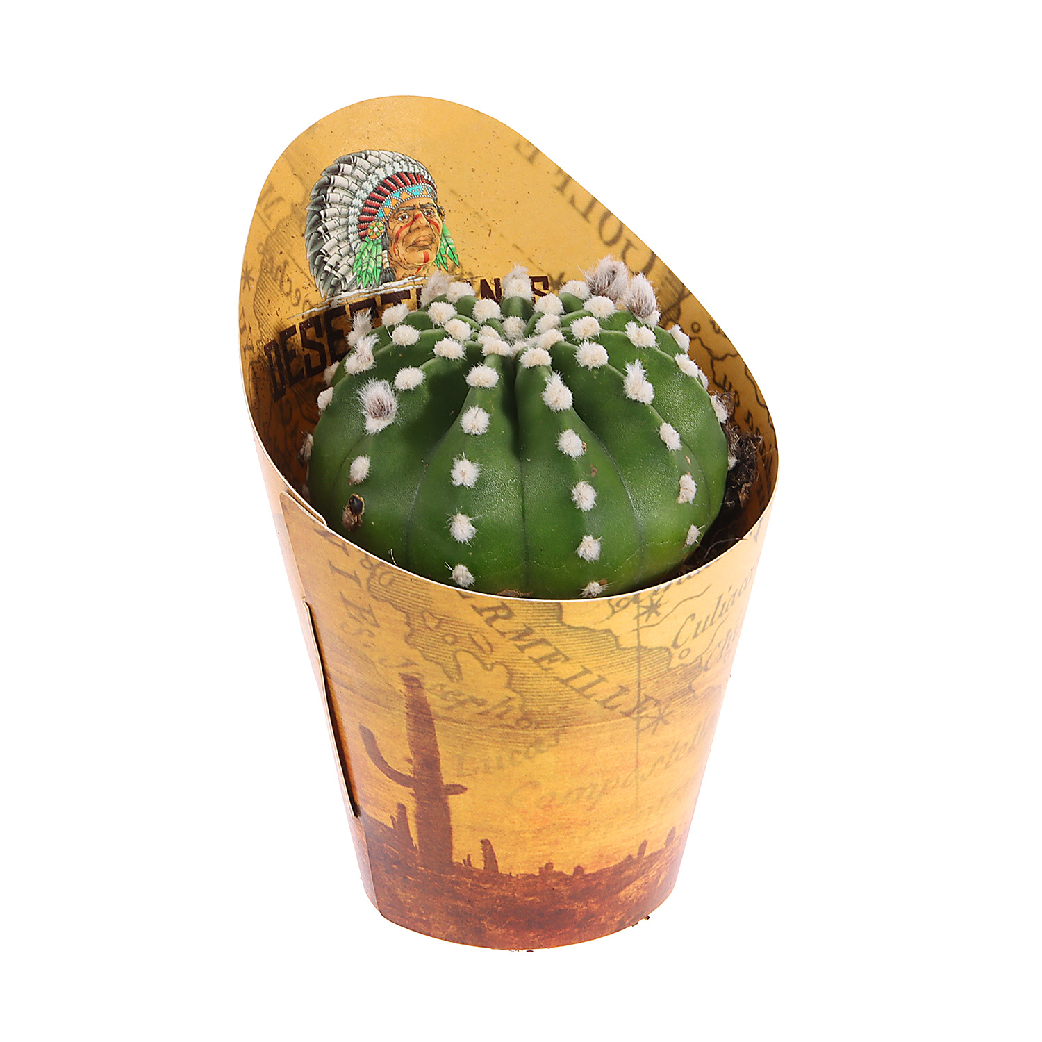 Кактус микс D9 H10* 1/18