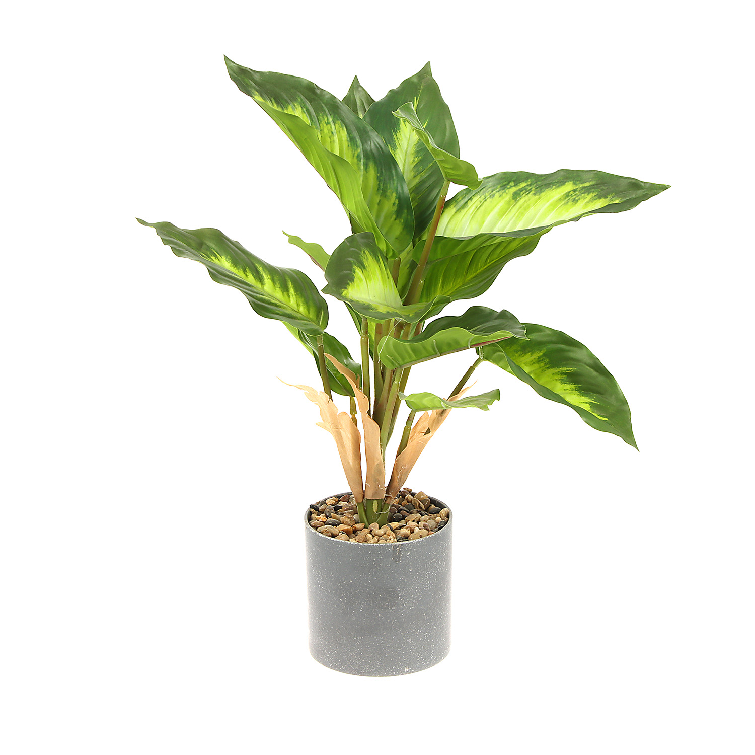 Бонсай в горшке "Диффенбахия" 9х33 см 9750510 Бонсай в горшке "Диффенбахия" 9х33 см 9750510