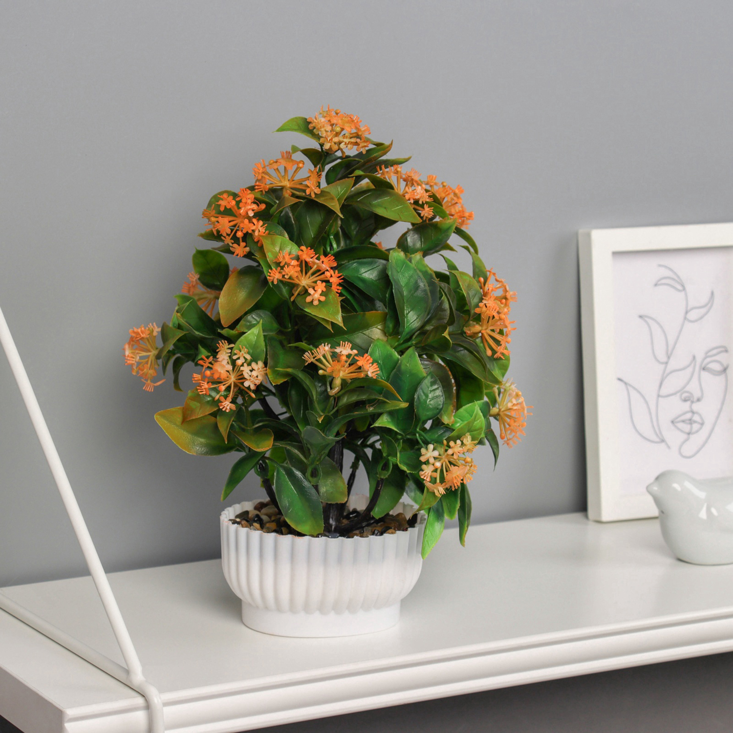 Бонсай в горшке «Хойя премиум», 10×23 см, МИКС