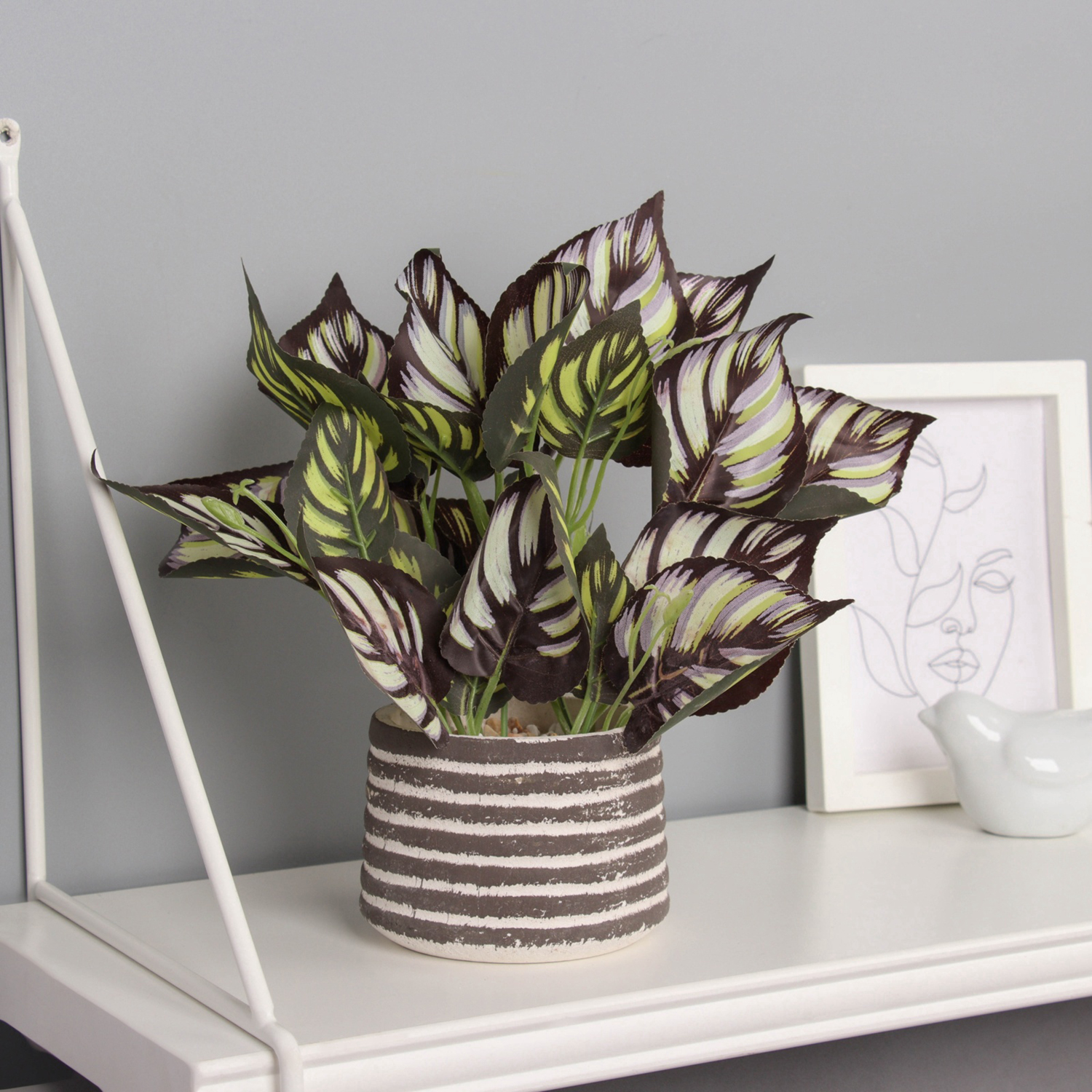 Бонсай в горшке "Калатея макоя" 20х10 см, микс  10697884