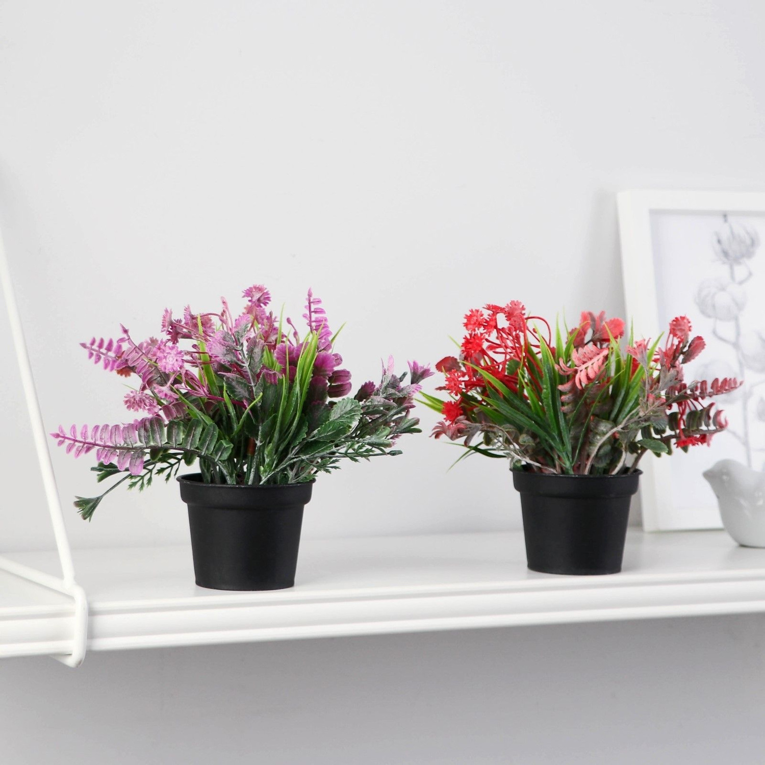 Бонсай в горшке "Скабиоза" 7х14 см, микс   9750535