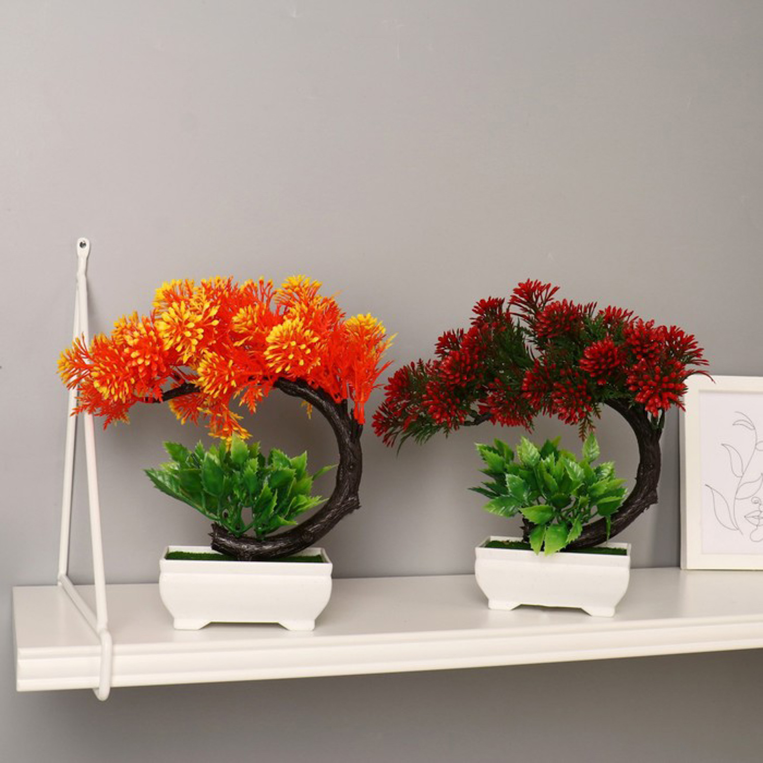 Бонсай "Селагинелла африканская" 10х20 см, микс 7081312