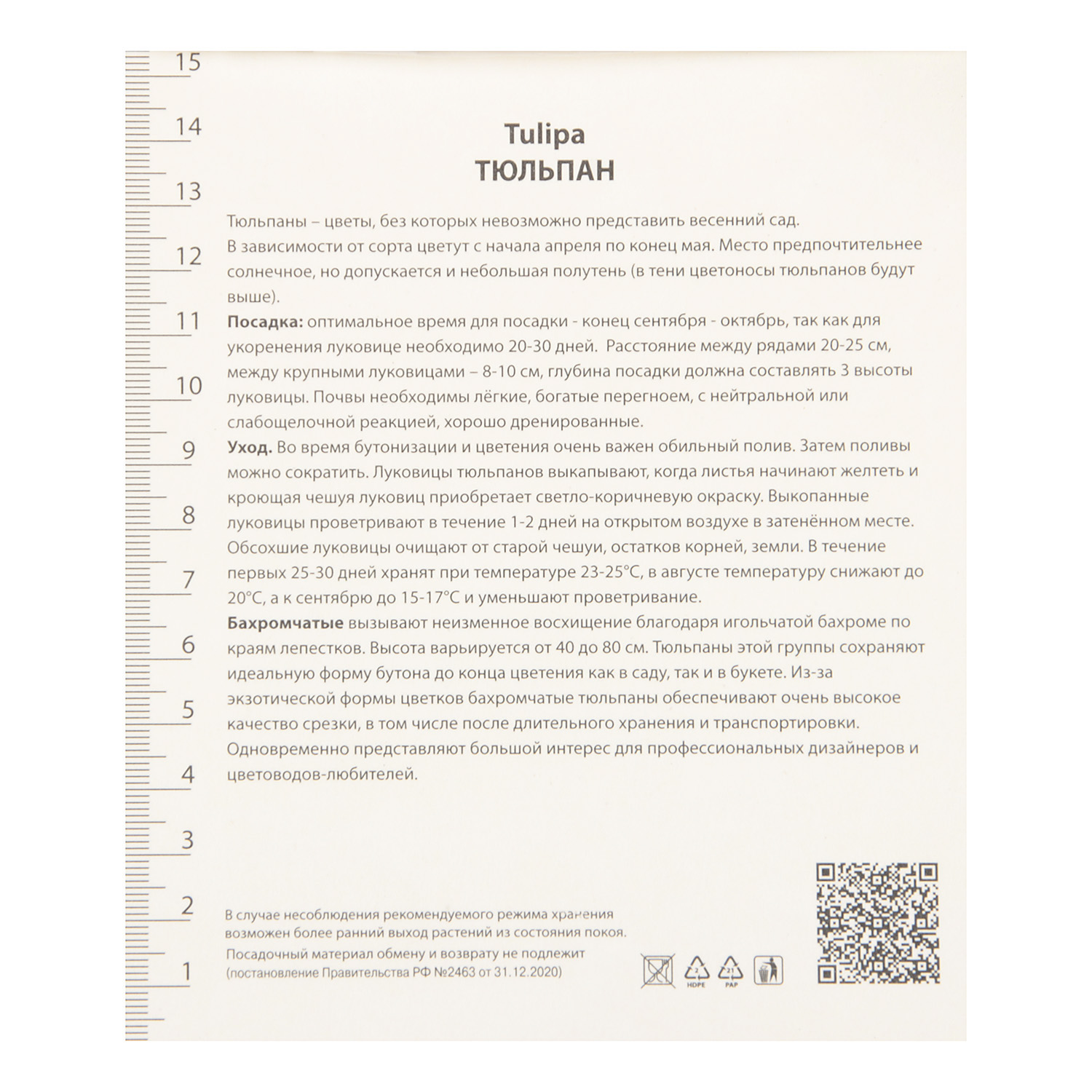 Тюльпан Бахромчатый Катар 11-12/7шт