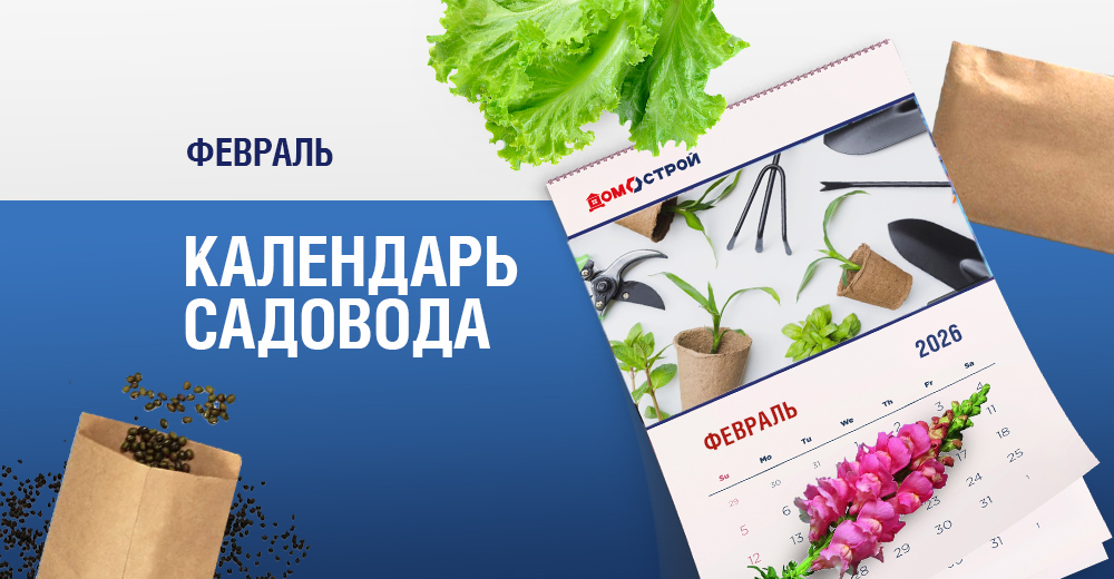 Без названия.png Без названия.png