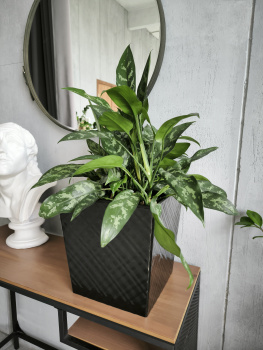 Кашпо пластм. "Manhattan Cube" 22л/вставка19л 301х301мм h315мм Оникс IG671210028 *1/4