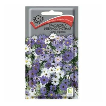 Семена Брахикома иберисолистная Смесь окрасок 0,03гр ПОИСК  *10/200