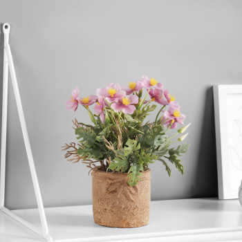 Бонсай "Лапчатка экстра" 8х18 см, микс   10325077