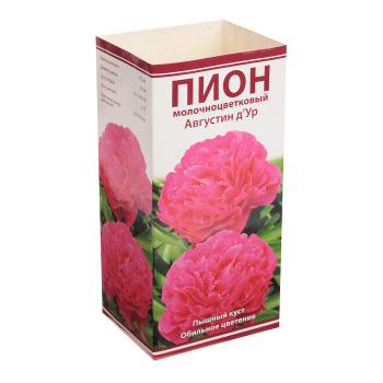 Пион молочноцветковый Августин д'Ур 1шт