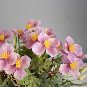 Бонсай "Лапчатка экстра" 8х18 см, микс   10325077