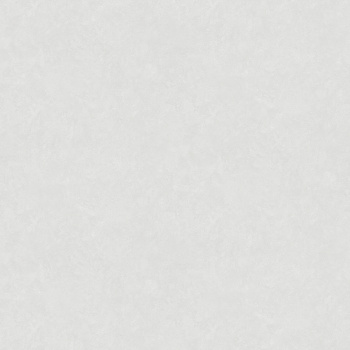 Обои  флиз VS Victoria Stenova Rondo фон (св.-сер.) 585071 1.06*10м *6