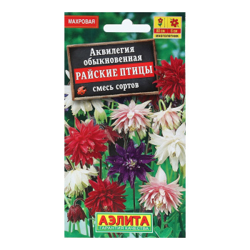 Семена Аквилегия Райские птицы смесь махровая 0,2гр Аэлита цв *10/200 Семена Аквилегия Райские птицы смесь махровая 0,2гр Аэлита цв *10/200