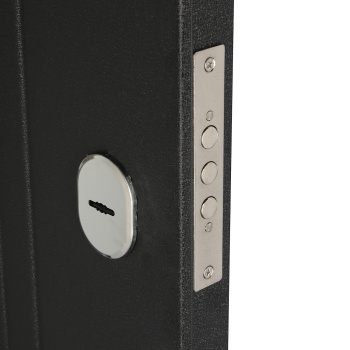 Дверь входная Двери Гуд М-1 GOODMAN, 860х2050х60 мм, левая, черный шелк/лиственница беленая