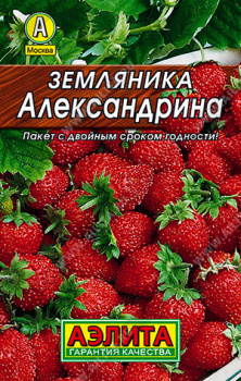Семена Земляника Александрина 0,05гр Аэлита Лидер *10/200 Семена Земляника Александрина 0,05гр Аэлита Лидер *10/200
