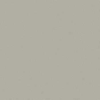 Обои  флиз OSTIMA Springtime фон (беж.) 589013 1.06*10м *6