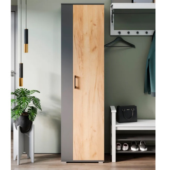 Набор мебели для прихожей ЭРИКА шкаф для одежды Тип 2 дуб графит серый/крафт золотой *1