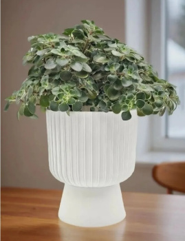 Кашпо пластм. "Бекер" 2,8л d верха 175мм h 195мм с поддоном Белый 5 0733 PL *1/8